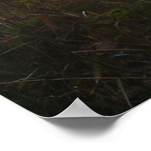 Poster d'Alert Doe (Coin)