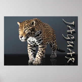 Poster d'alimentation Jaguar -36x24 -autres taille