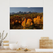Poster Dallas Divide (Cuisine)