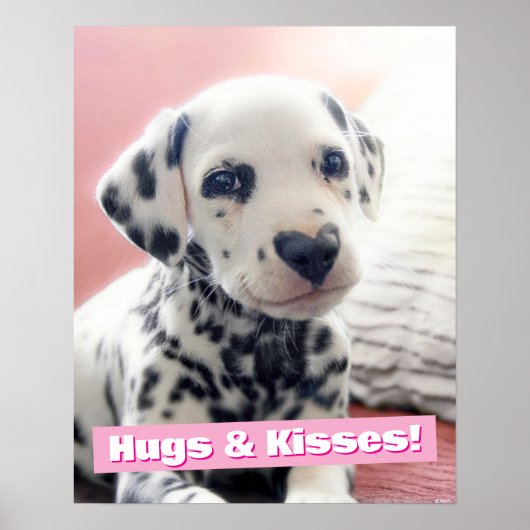 Poster Dalmatian Heart Nose (Devant)