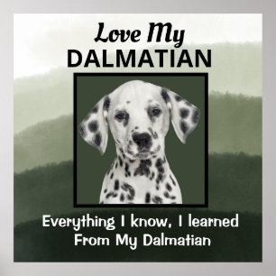 Poster Dalmatie