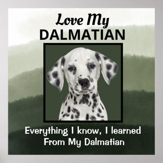 Poster Dalmatie (Devant)