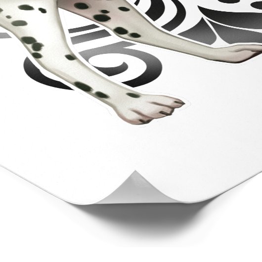 Poster Dalmatien (Coin)