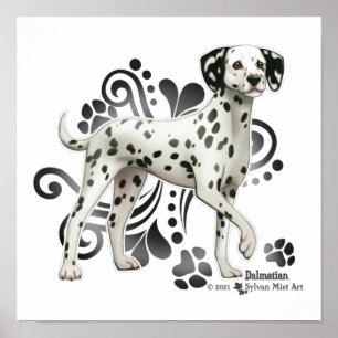 Poster Dalmatien