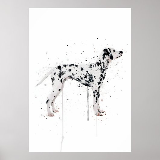 Poster Dalmatien (Devant)