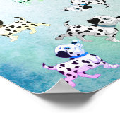 Poster Dalmatien (Coin)
