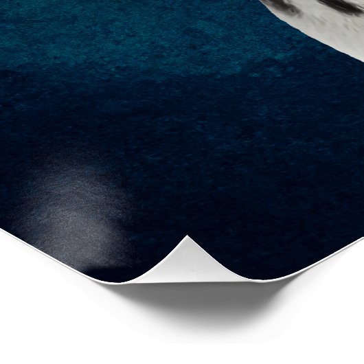 Poster Dalmatien (Coin)