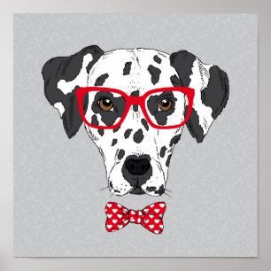 Poster Dalmatien fashionable