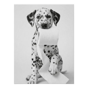 Poster Dalmatien mignon tenant du papier toilette Minimal