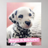 Dalmatien Nez de Coeur