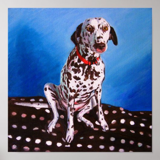 Poster Dalmatien sur coussin rustique 2011 (Devant)