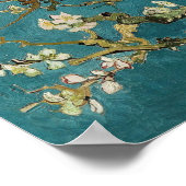 Poster d'amande en fleurs (Coin)