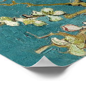 Poster d'amande en fleurs (Coin)