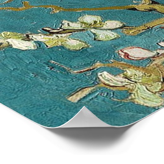 Poster d'amande en fleurs (Coin)