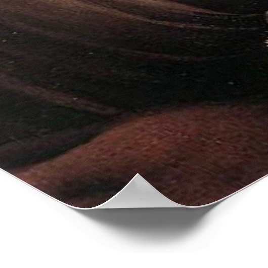 Poster Dame au Voile (Coin)