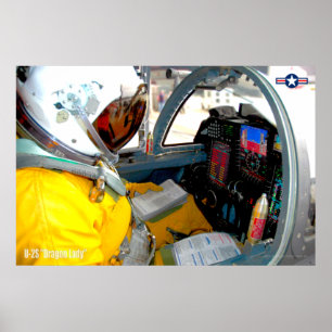POSTER DAME DE DRAGON U-2S