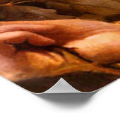 Poster Dame des Roses par Franz Dvorak (Coin)