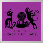 Poster Dame du Crazy Cat (Devant)