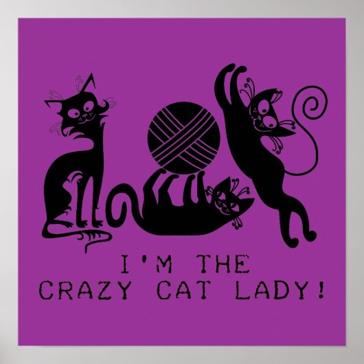 Poster Dame du Crazy Cat (Devant)