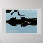 Poster d'amis de la tortue de bébé (Devant)