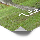 Poster d'amitié Zebra (Coin)