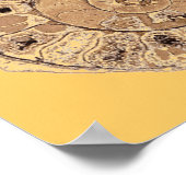 Poster d'ammonite (fossile) (Coin)