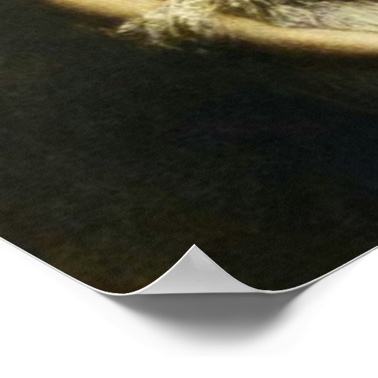 Poster Damnation de Faust (Coin)