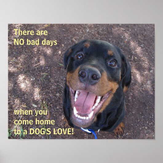Poster d'amour du chien Rottweiler (Devant)