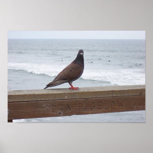 Poster Dan Bigelow (Devant)