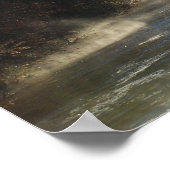 Poster Dan River (Coin)