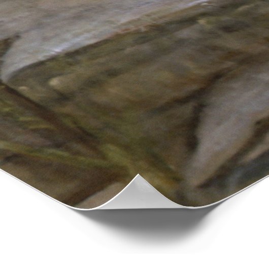 Poster Danaides John William Waterhouse (Coin)