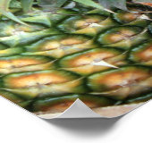 Poster d'ananas hawaïen (Coin)