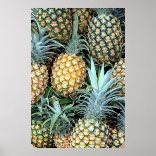 Poster d'ananas hawaïen (Devant)
