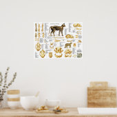 Poster d'anatomie crânienne de chat 18 X 24 (Cuisine)