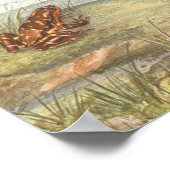 Poster d'anatomie de la grenouille vintage (Coin)