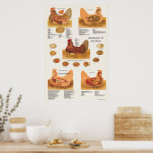 Poster d'anatomie de poule mouchetée (Cuisine)