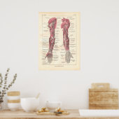 Poster d'anatomie des armoiries en français (Cuisine)