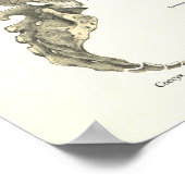 Poster d'anatomie des os du squelette et de la col (Coin)