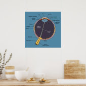Poster d'anatomie des yeux (Cuisine)