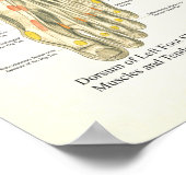 Poster d'anatomie du pied et de la cheville (Coin)