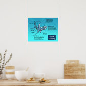 Poster d'anatomie du requin (Cuisine)