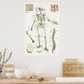 Poster d'anatomie du squelette humain 24 x 36 (Cuisine)