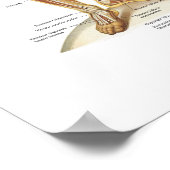 Poster d'anatomie du système musculaire 18 X 24 (Coin)