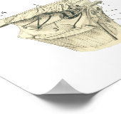 Poster d'anatomie du système nerveux de la vache b (Coin)