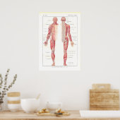 Poster d'anatomie du système nerveux en français (Cuisine)