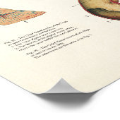 Poster d'anatomie équine Cheval grand format (Coin)