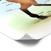 Poster d'anatomie équine éducative du Cheval Bucks (Coin)