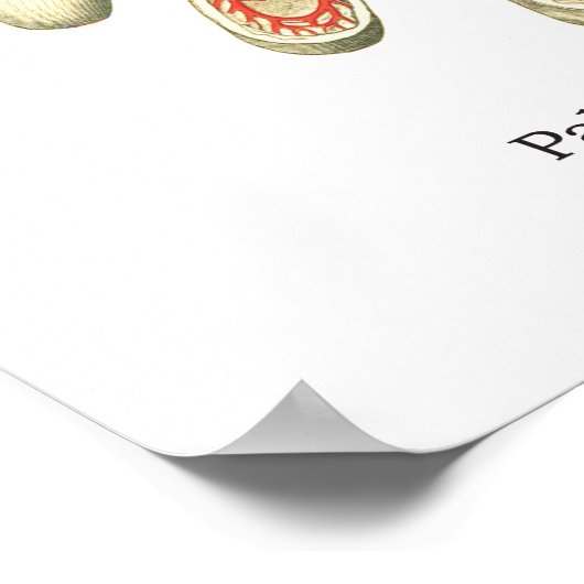 Poster d'anatomie interne main et poignet (Coin)