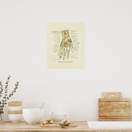 Poster d'anatomie interne main et poignet (Cuisine)