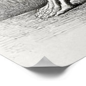 Poster d'anatomie squelette vintage (Coin)